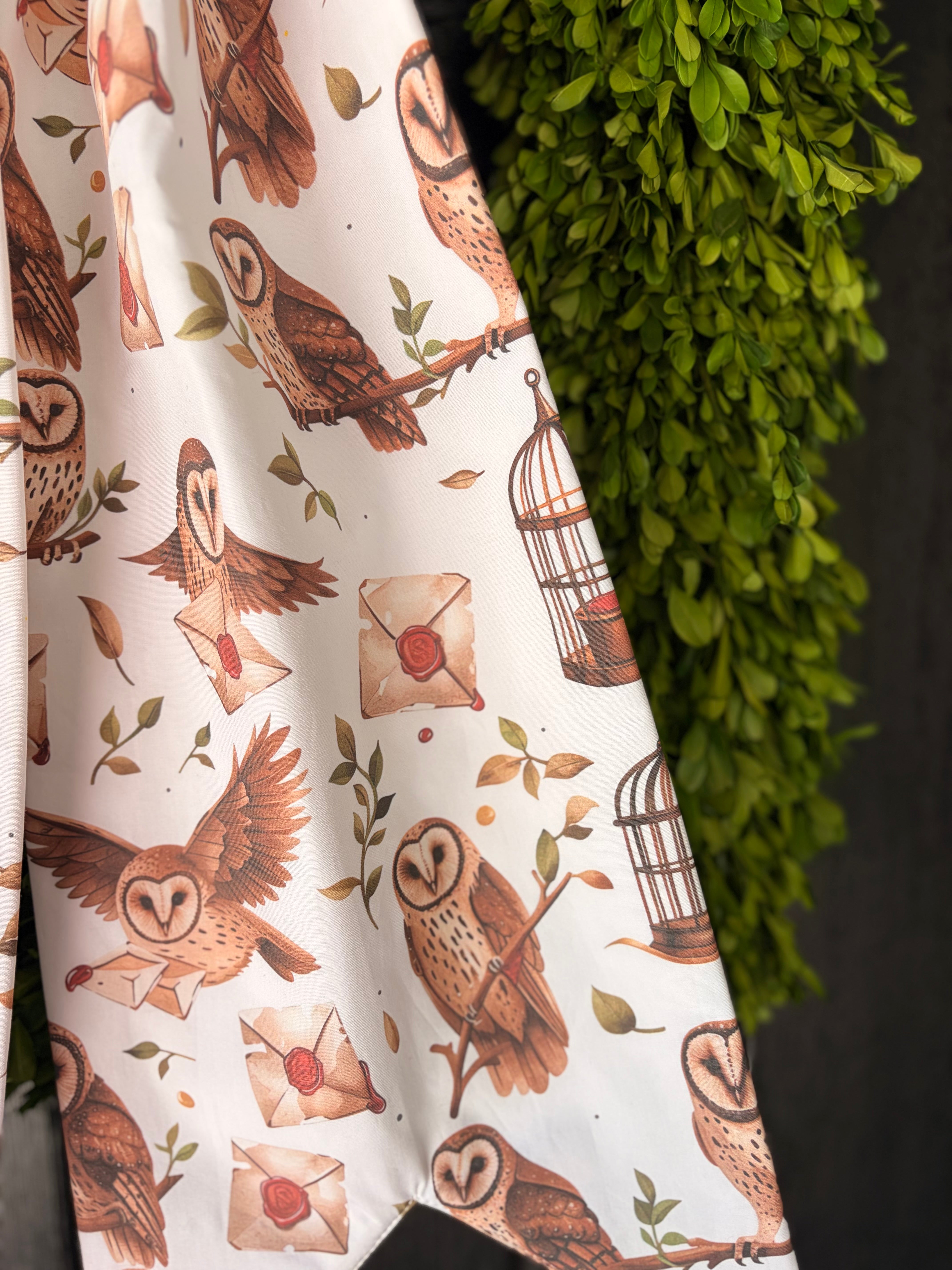 The Owl Post Bow