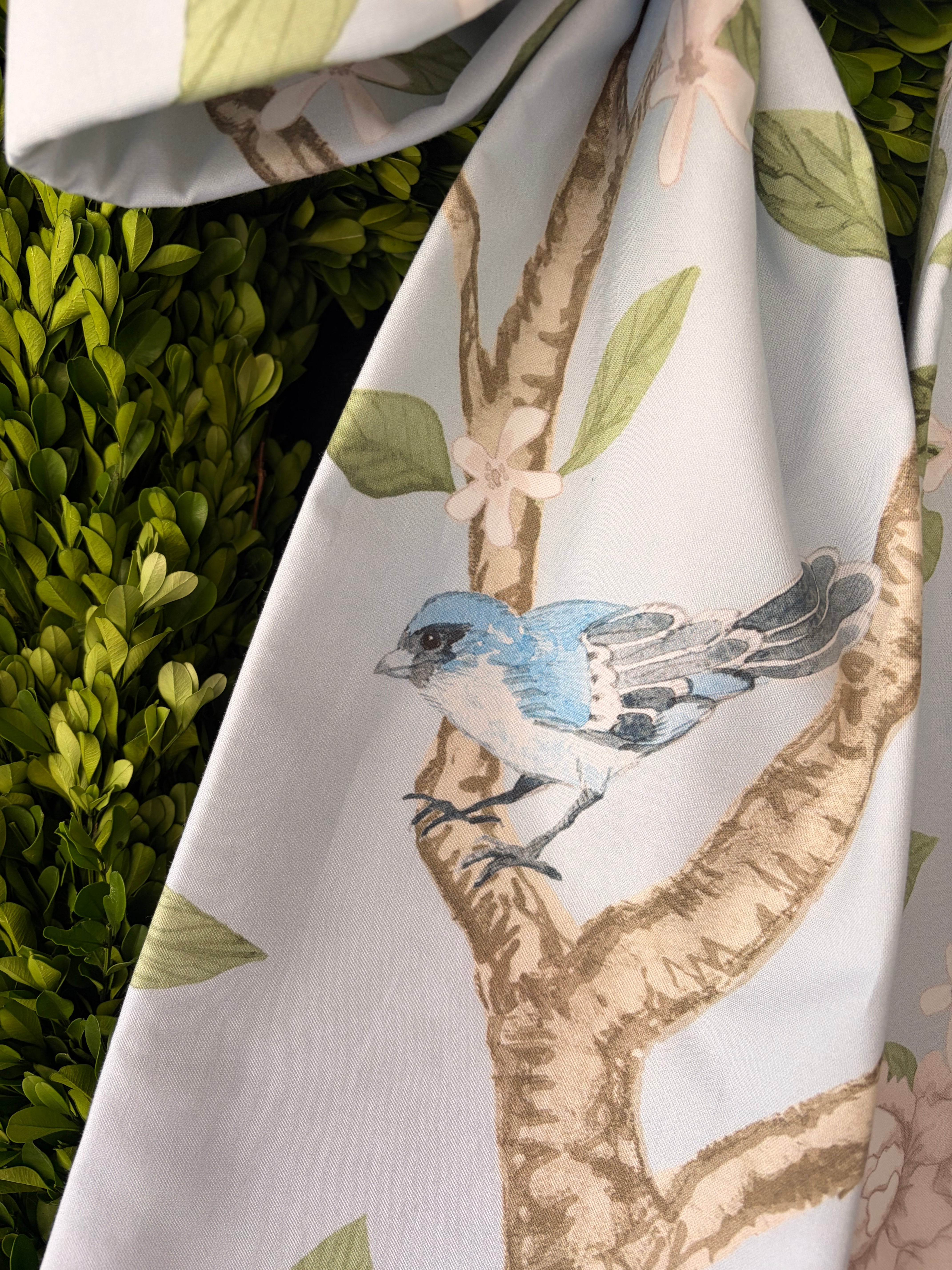 The Garden Songbird Bow