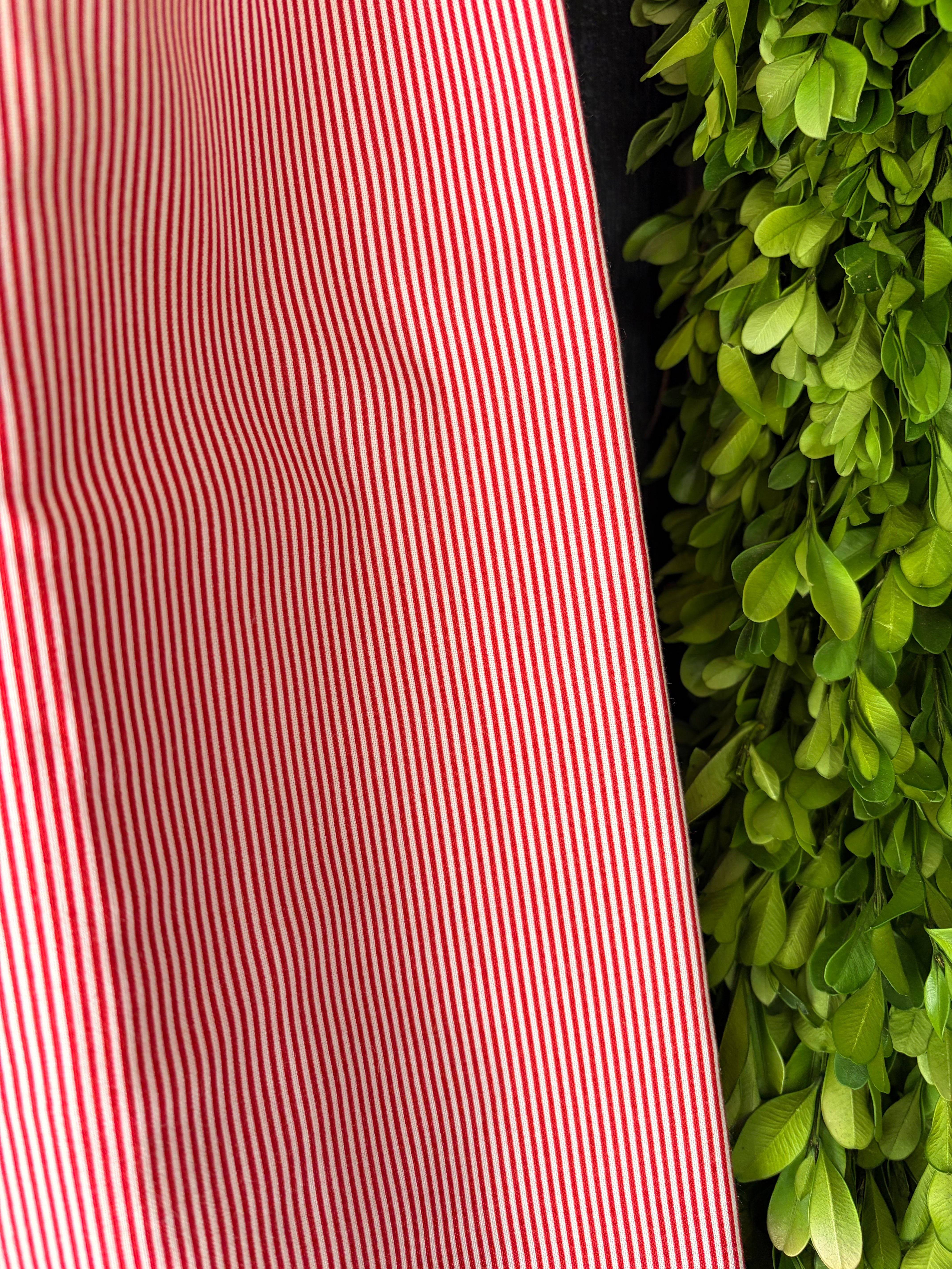 The Library Stripe Bow