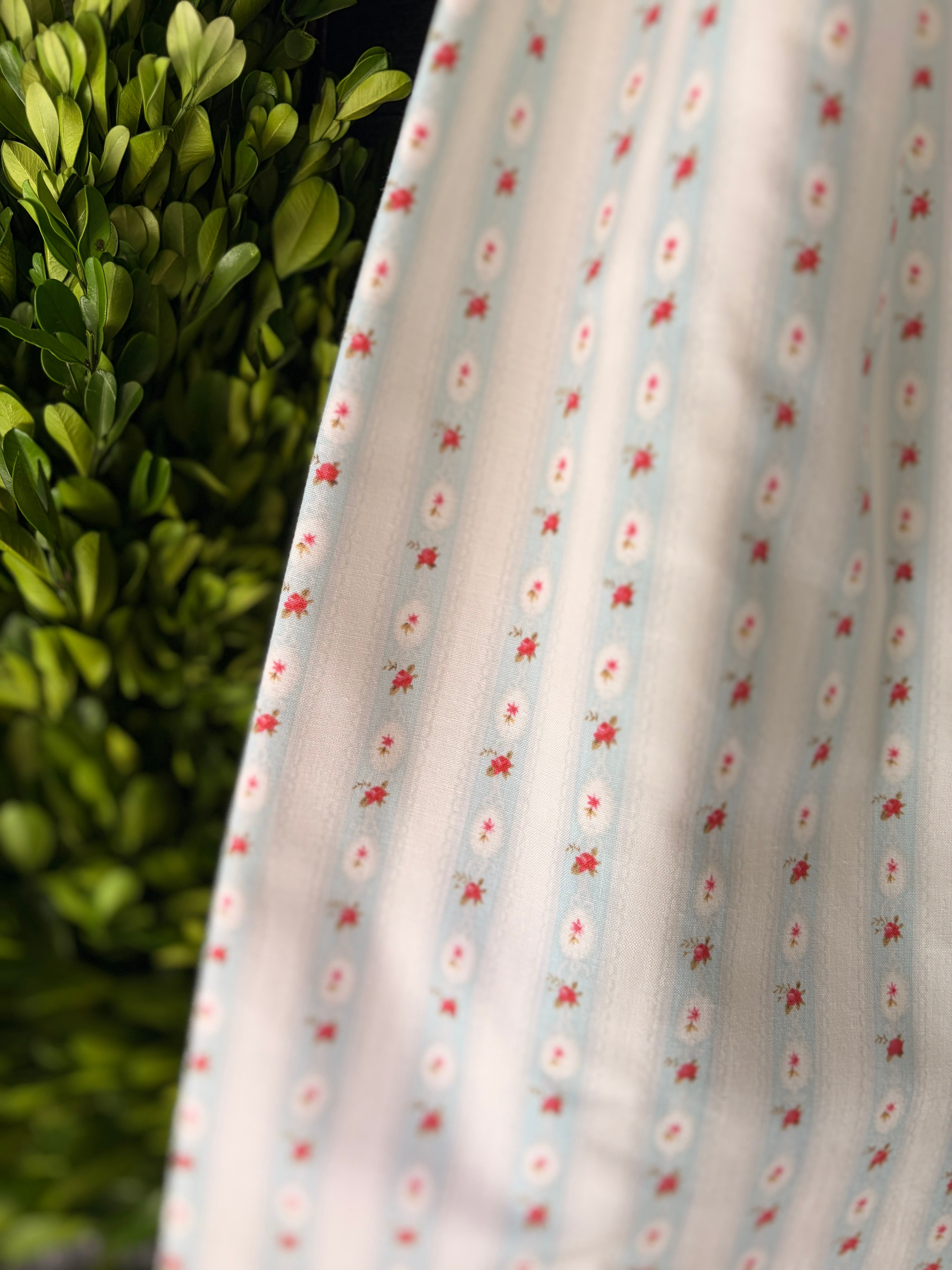 The Petite Madalena Bow