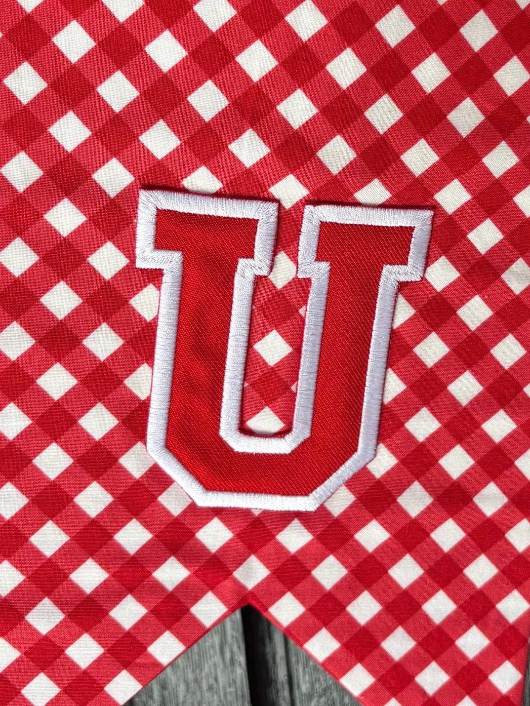 The Crimson Varsity Bow
